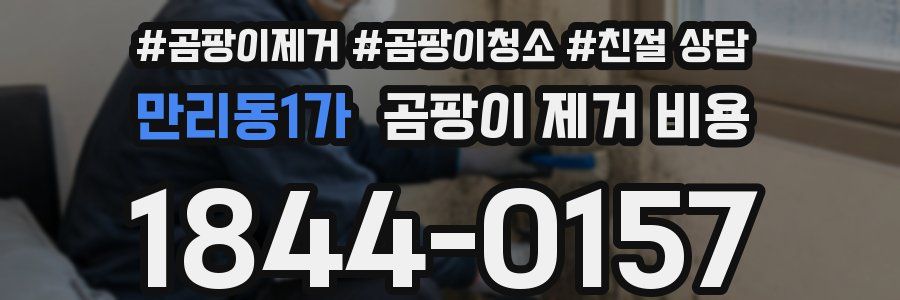 만리동1가 곰팡이 제거 비용