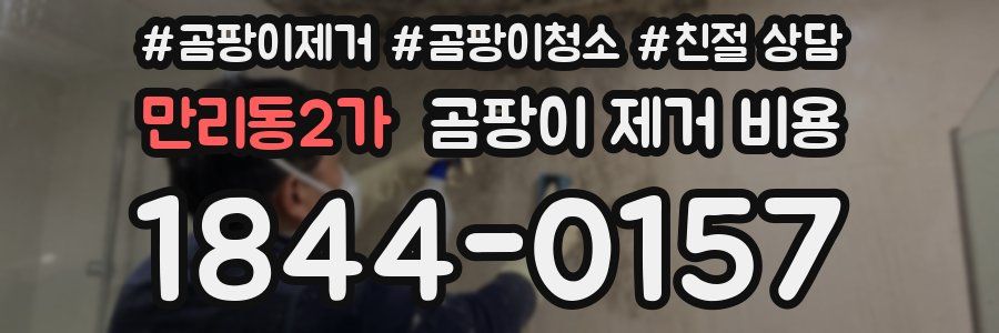 만리동2가 곰팡이 제거 비용