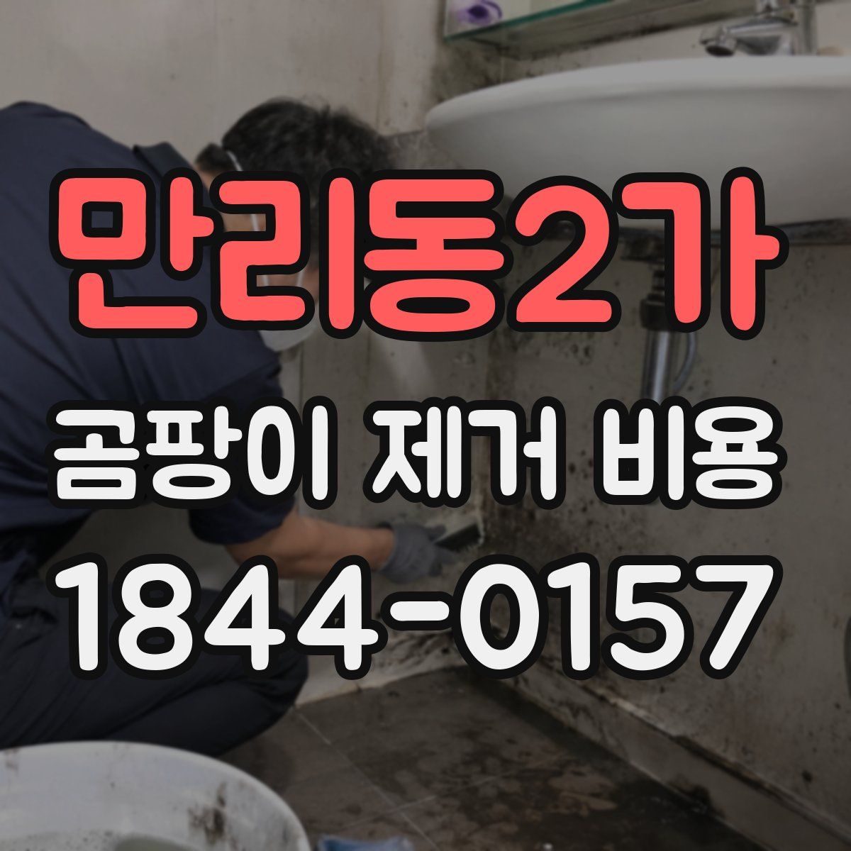 만리동2가 곰팡이 제거 비용