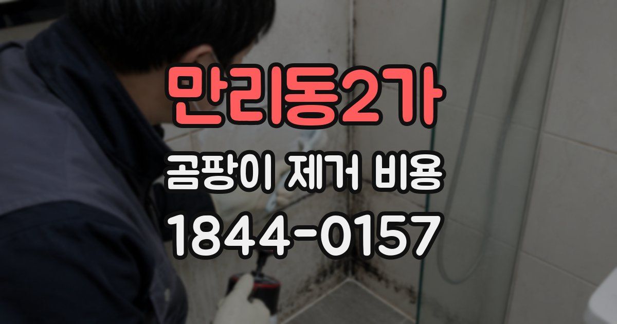 만리동2가 곰팡이 제거 비용