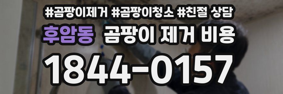 후암동 곰팡이 제거 비용