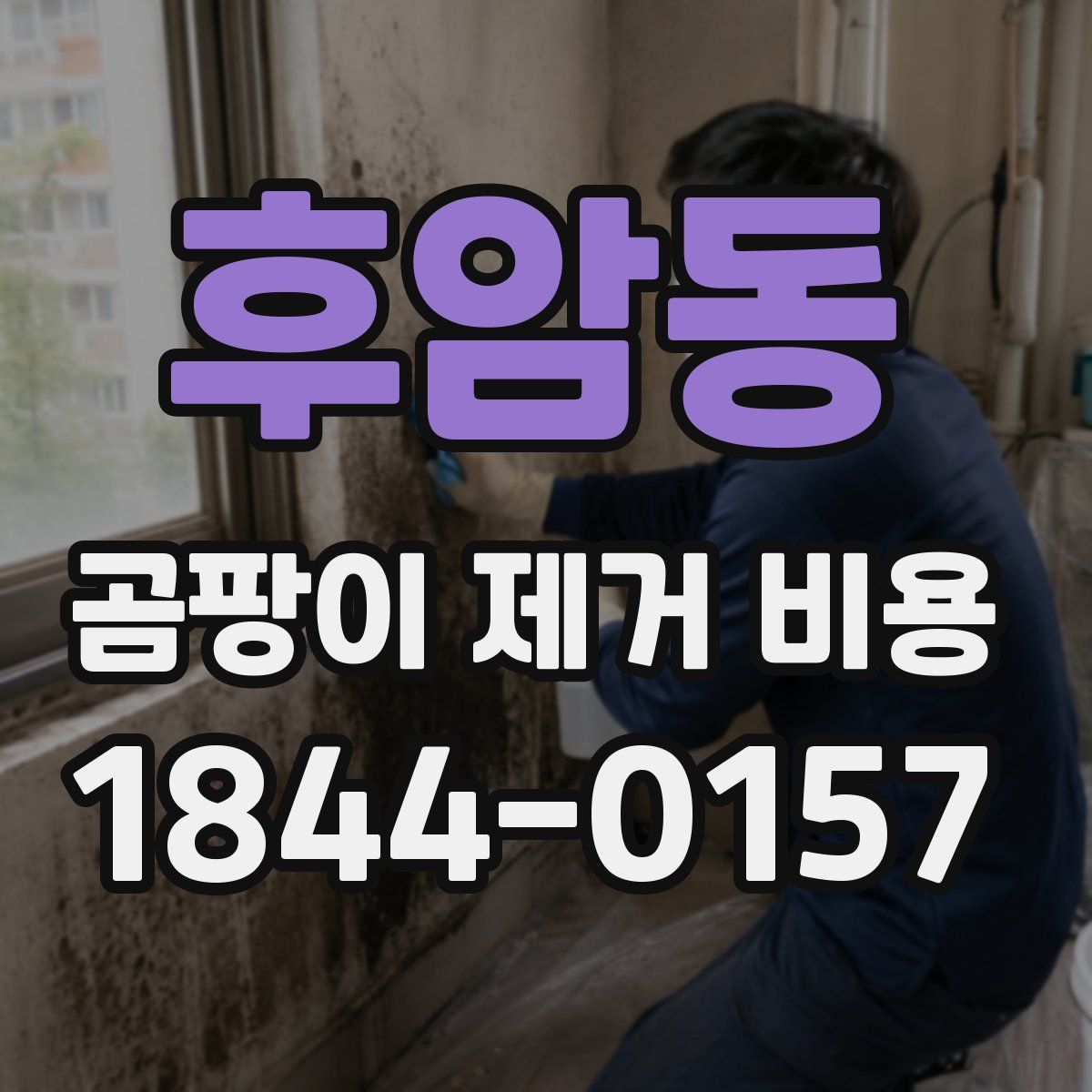 후암동 곰팡이 제거 비용