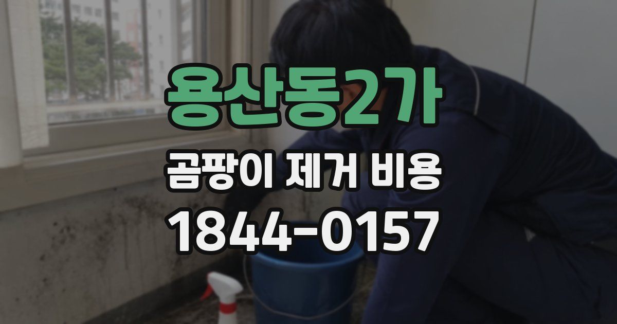 용산동2가 곰팡이 제거 비용