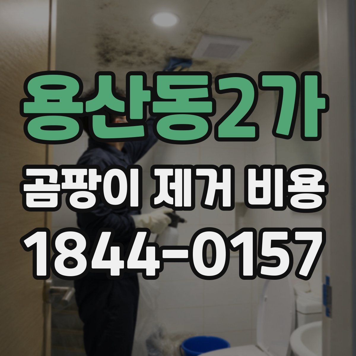 용산동2가 곰팡이 제거 비용