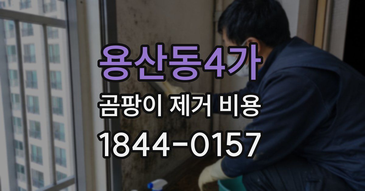용산동4가 곰팡이 제거 비용