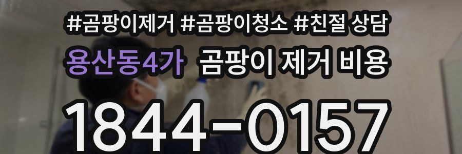 용산동4가 곰팡이 제거 비용