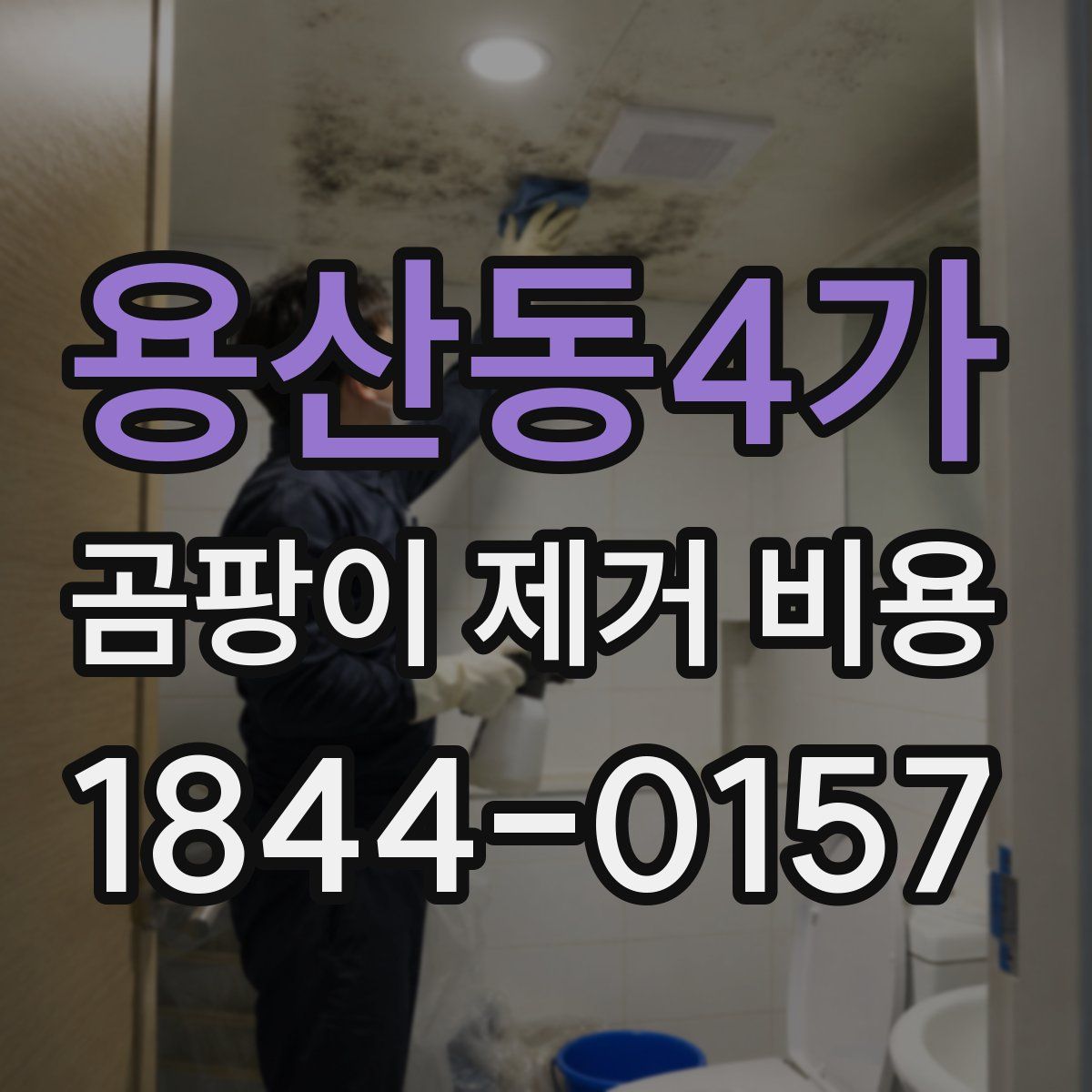 용산동4가 곰팡이 제거 비용