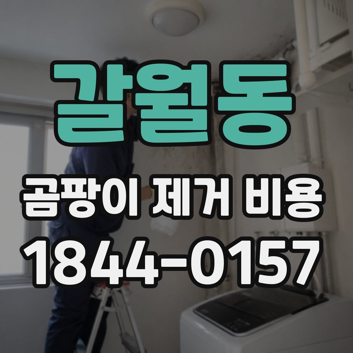 갈월동 곰팡이 제거 비용