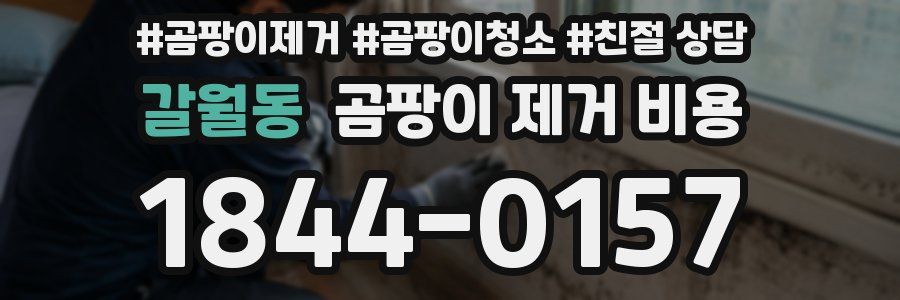 갈월동 곰팡이 제거 비용