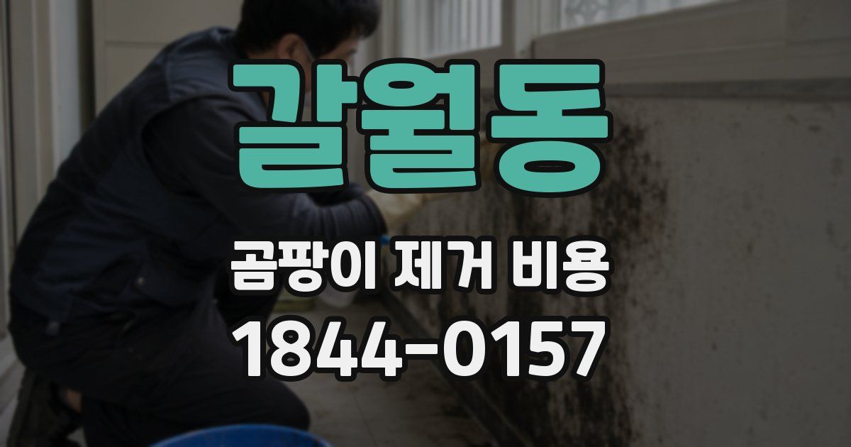 갈월동 곰팡이 제거 비용