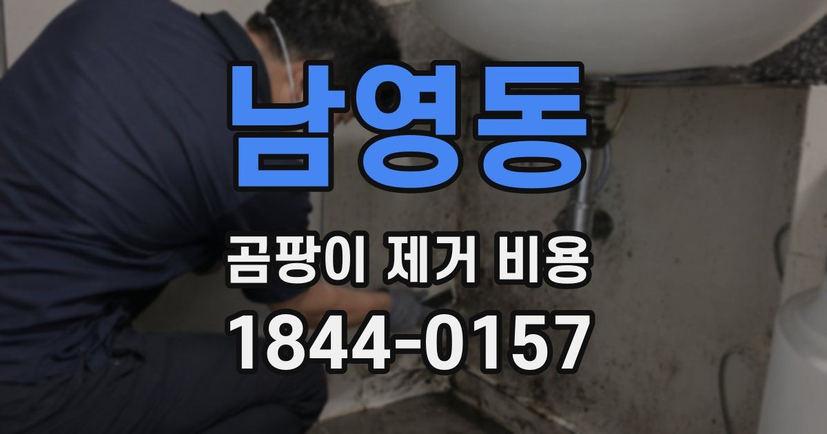 남영동 곰팡이 제거 비용