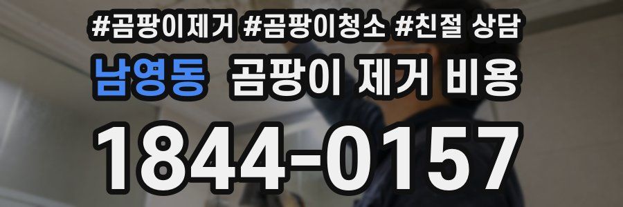 남영동 곰팡이 제거 비용