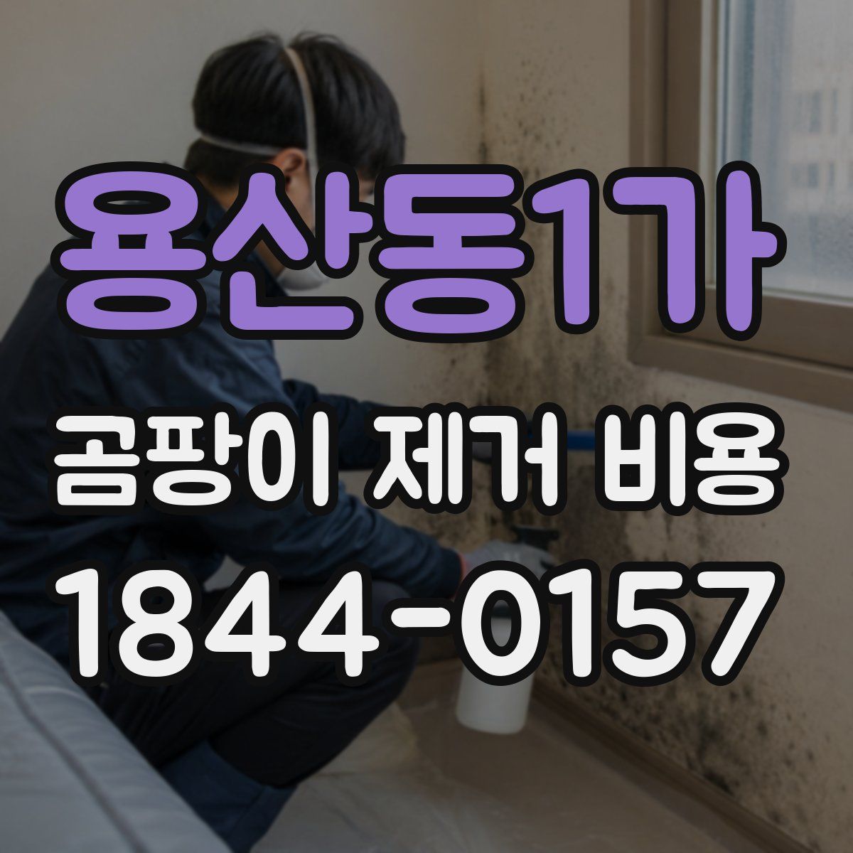 용산동1가 곰팡이 제거 비용