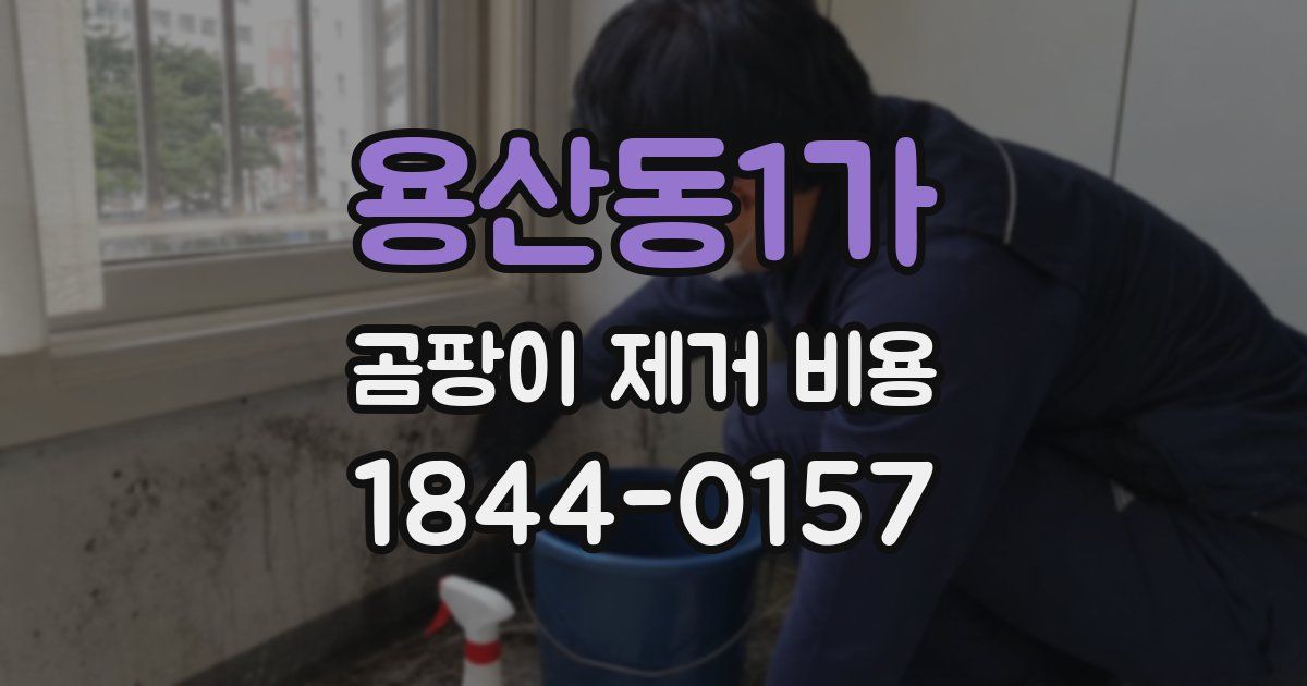 용산동1가 곰팡이 제거 비용