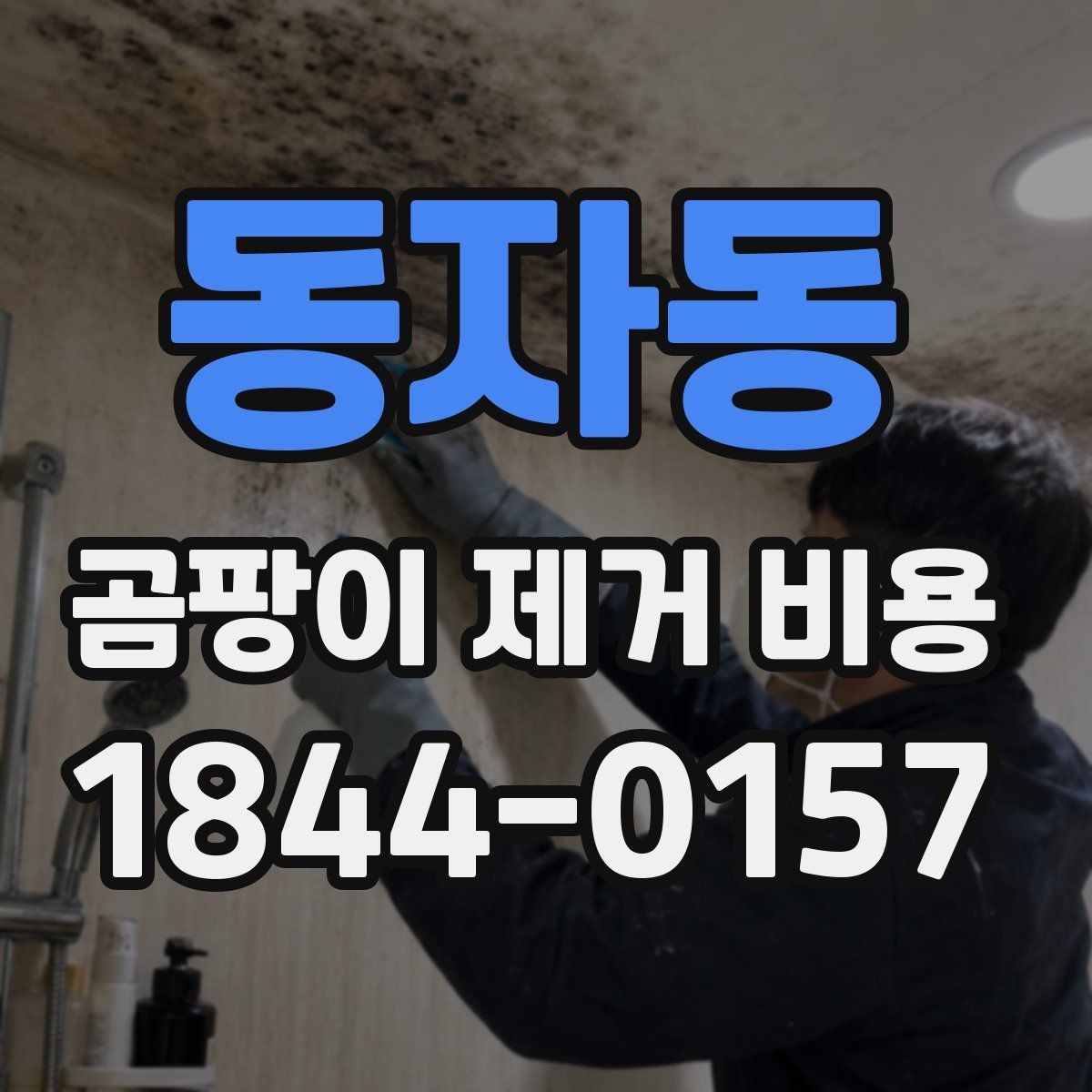 동자동 곰팡이 제거 비용 작업 전 확인하는 오염 범위 기준