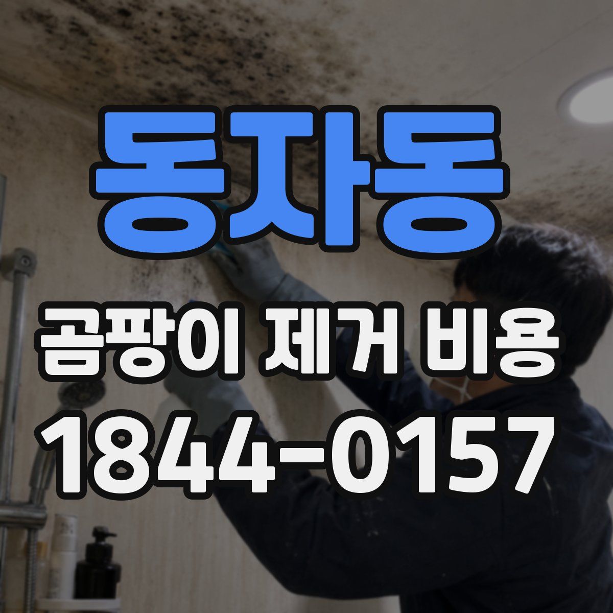 동자동 곰팡이 제거 비용