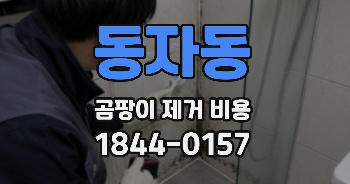동자동 곰팡이 제거 비용