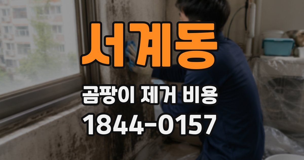 서계동 곰팡이 제거 비용