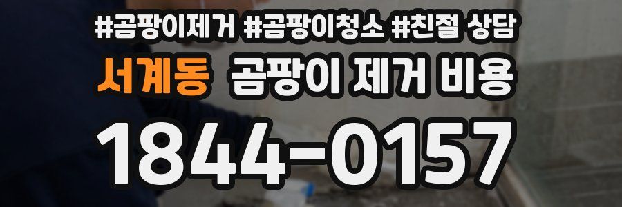 서계동 곰팡이 제거 비용