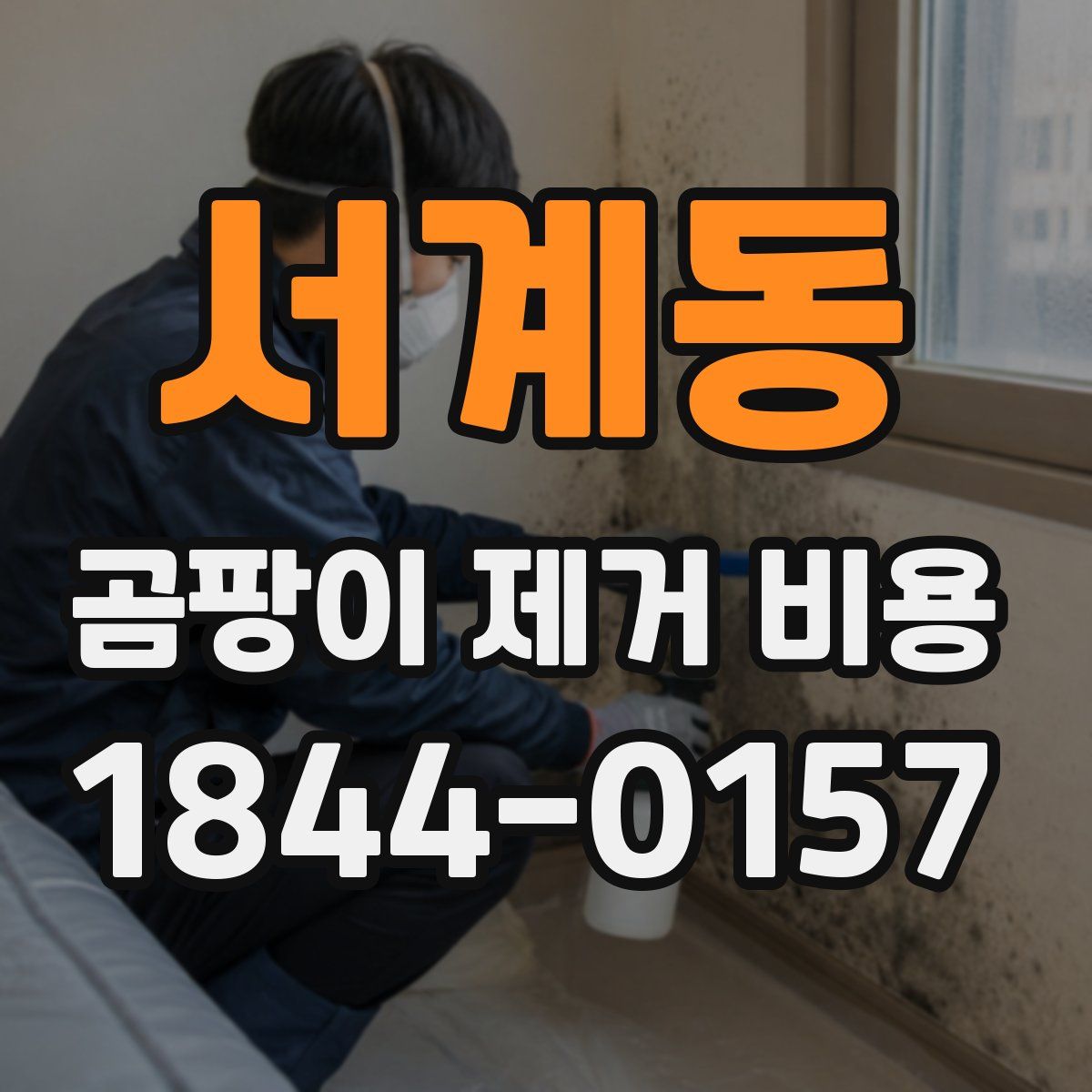 서계동 곰팡이 제거 비용