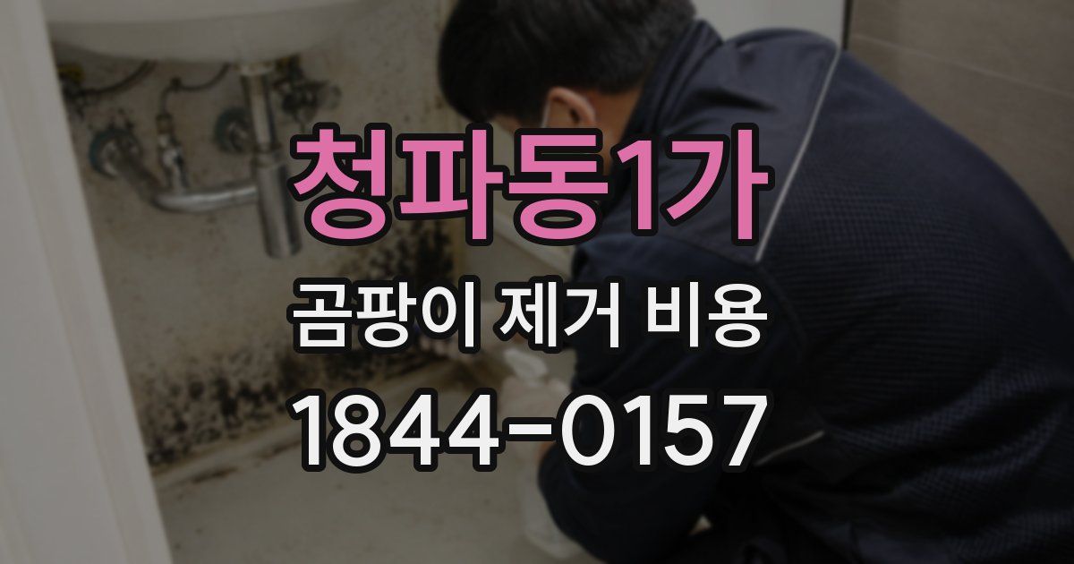 청파동1가 곰팡이 제거 비용