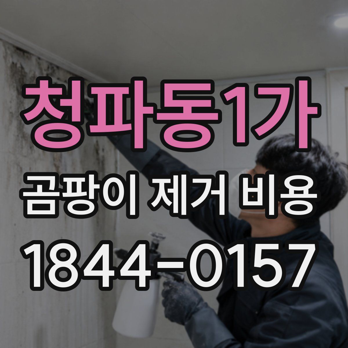 청파동1가 곰팡이 제거 비용