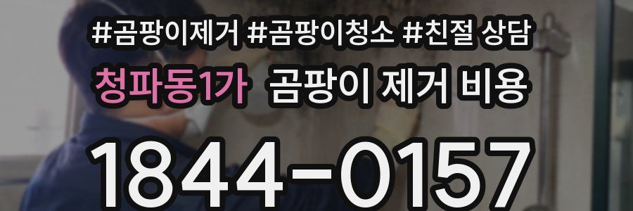청파동1가 곰팡이 제거 비용