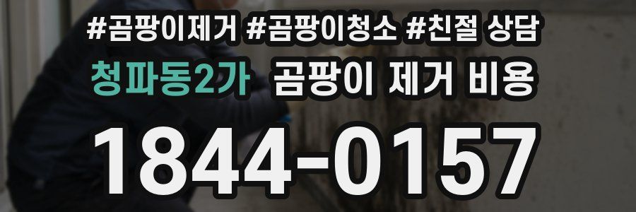 청파동2가 곰팡이 제거 비용