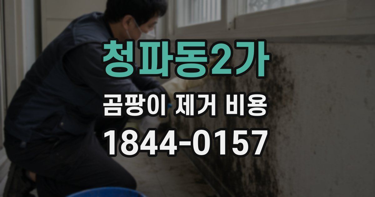 청파동2가 곰팡이 제거 비용