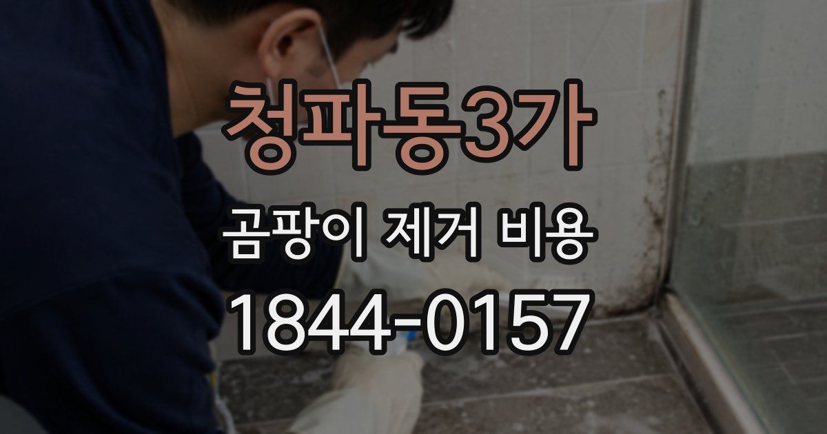 청파동3가 곰팡이 제거 비용