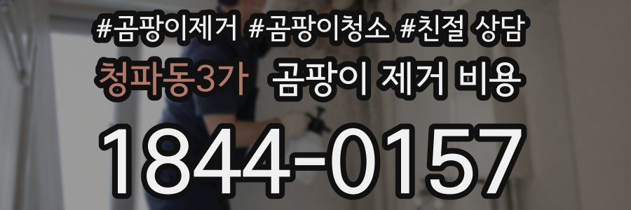 청파동3가 곰팡이 제거 비용