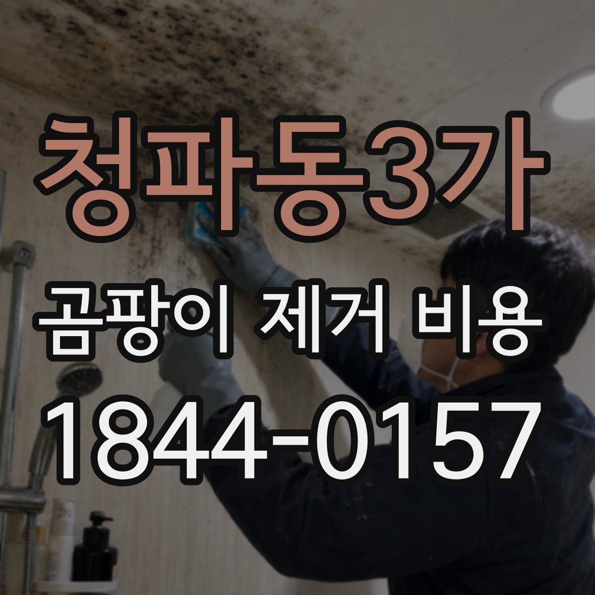 청파동3가 곰팡이 제거 비용
