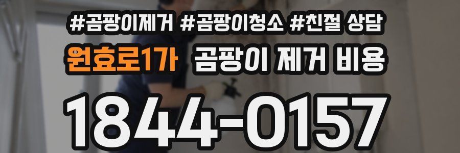 원효로1가 곰팡이 제거 비용