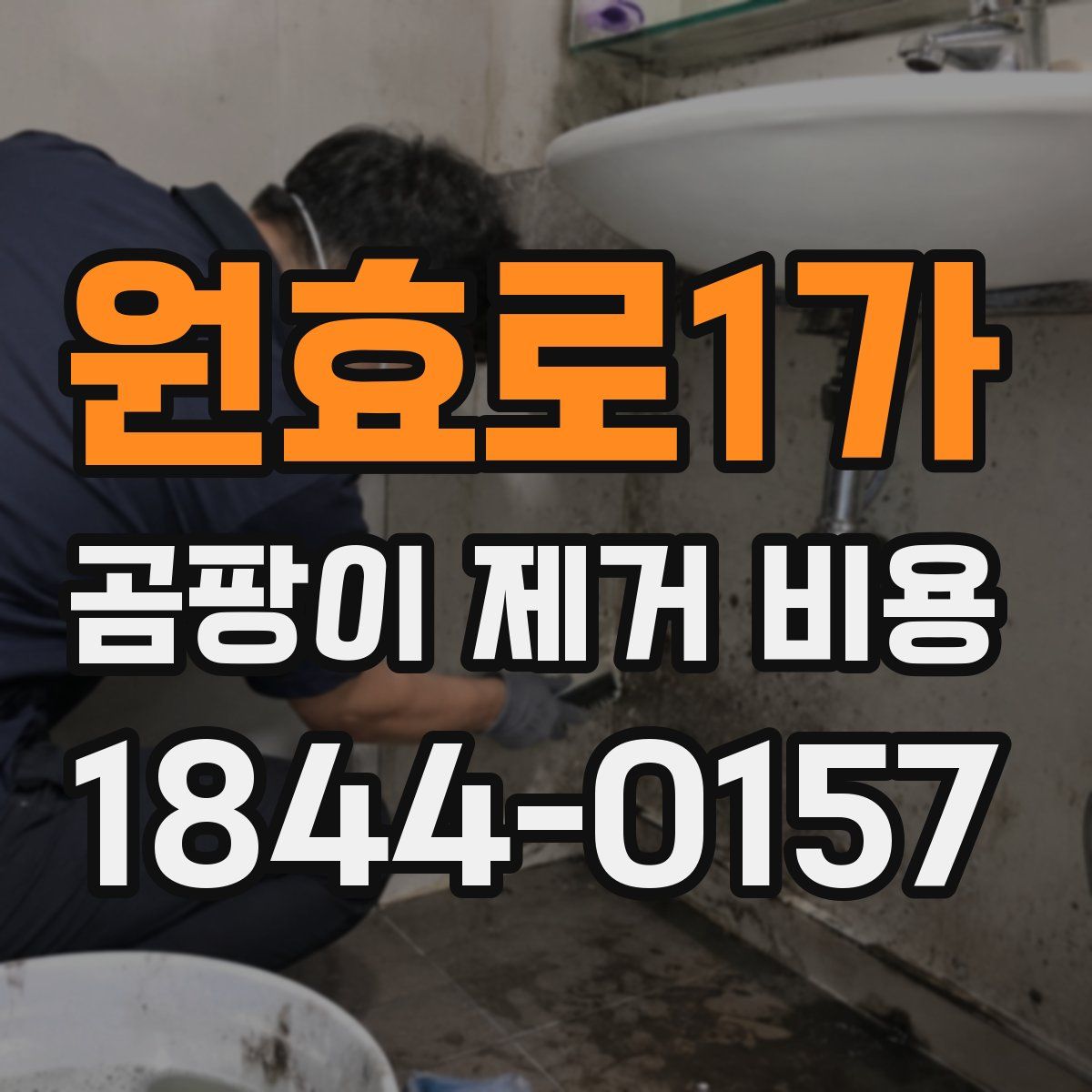 원효로1가 곰팡이 제거 비용