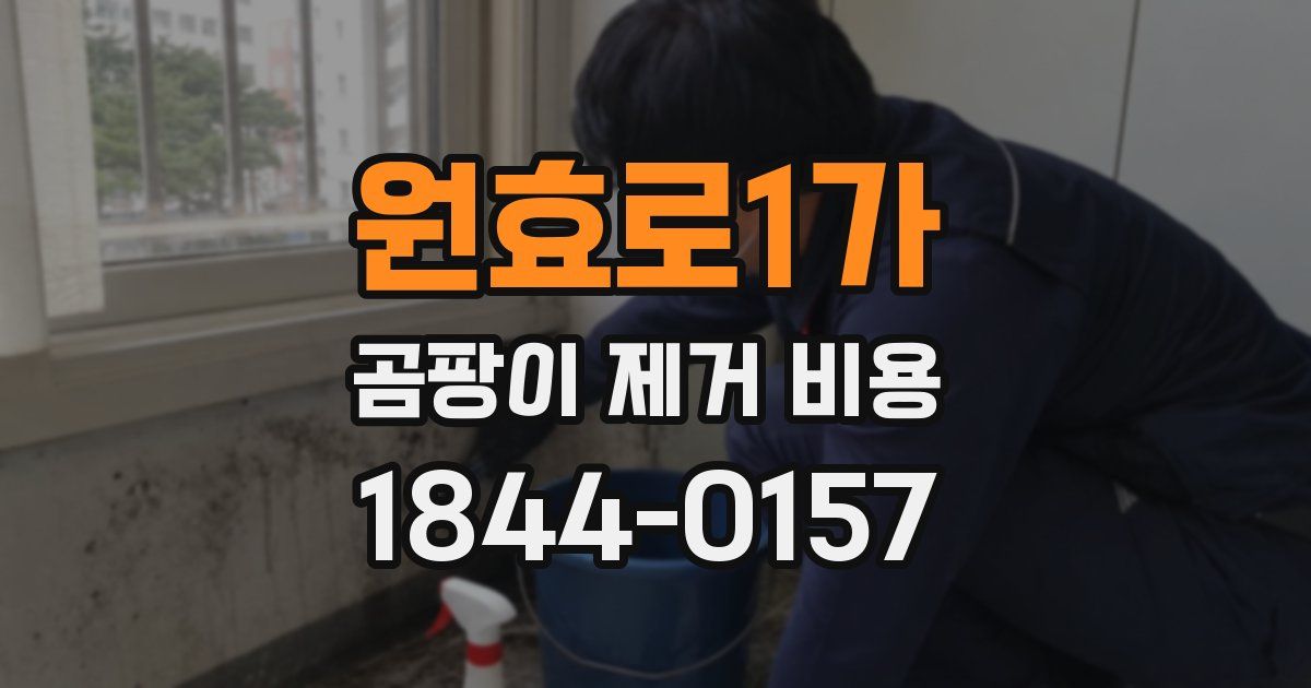 원효로1가 곰팡이 제거 비용
