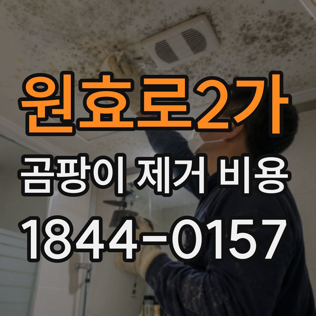 원효로2가 곰팡이 제거 비용