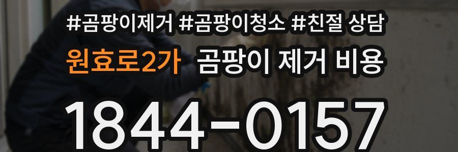 원효로2가 곰팡이 제거 비용