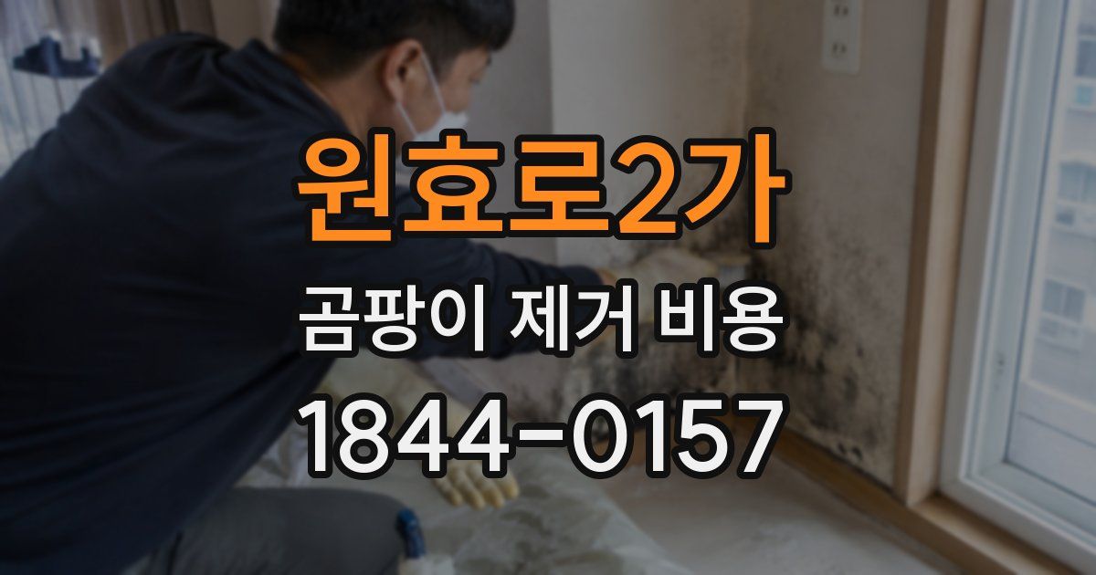 원효로2가 곰팡이 제거 비용