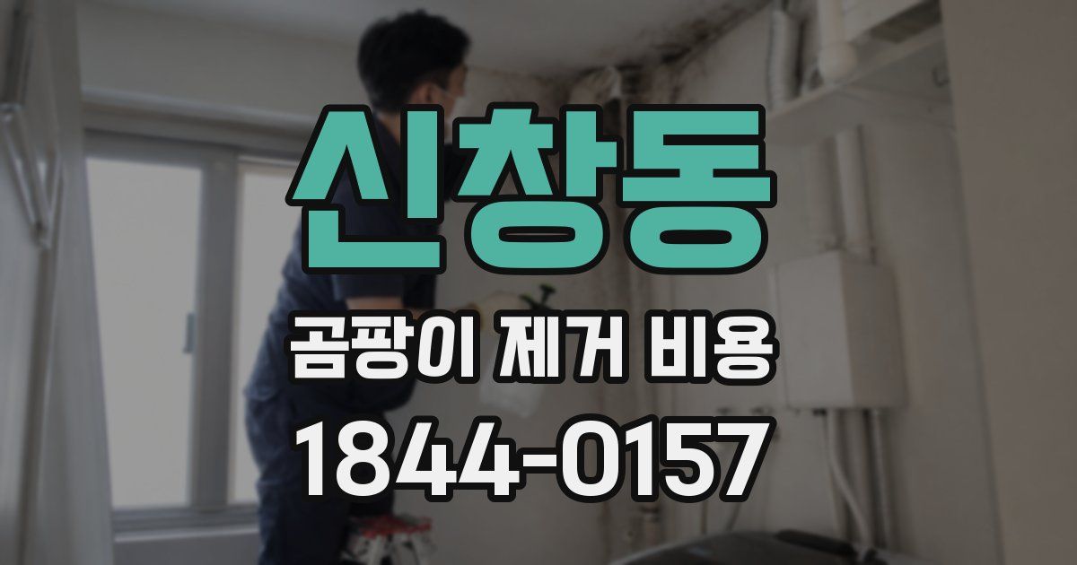 신창동 곰팡이 제거 비용
