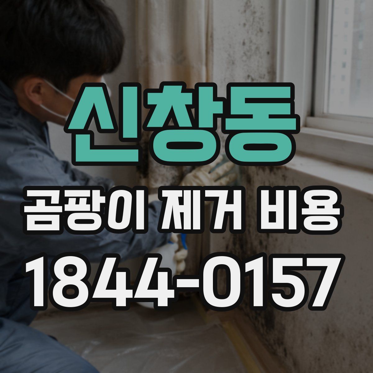 신창동 곰팡이 제거 비용