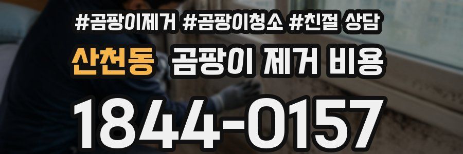 산천동 곰팡이 제거 비용