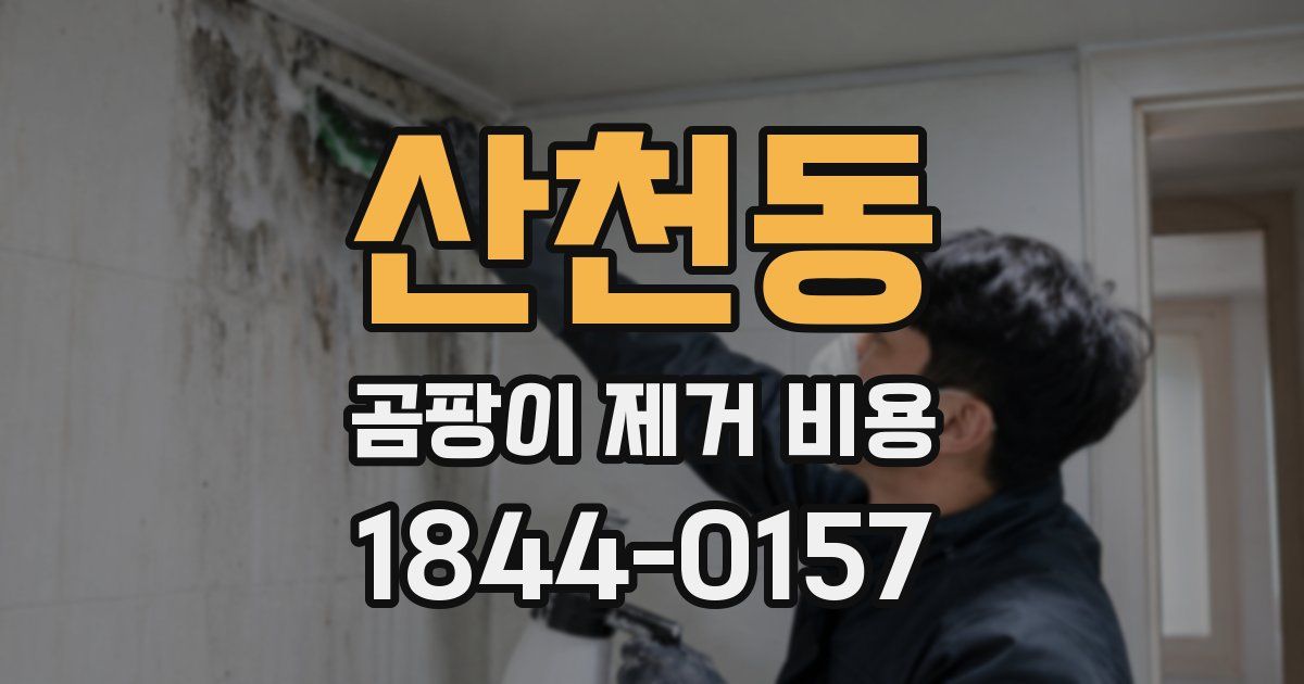 산천동 곰팡이 제거 비용