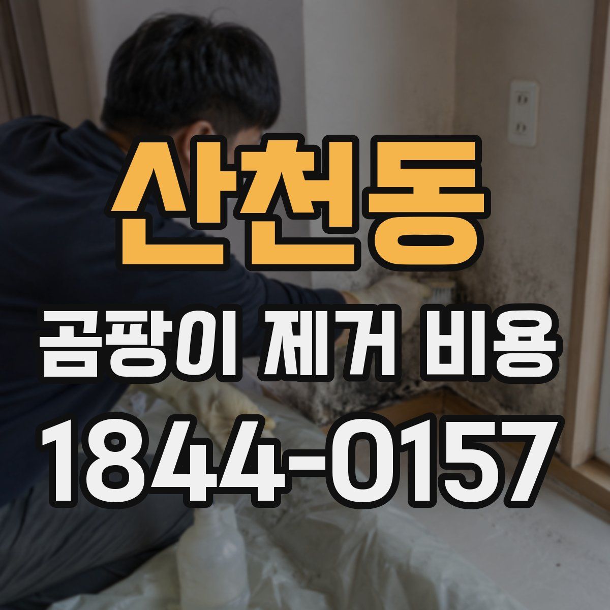 산천동 곰팡이 제거 비용