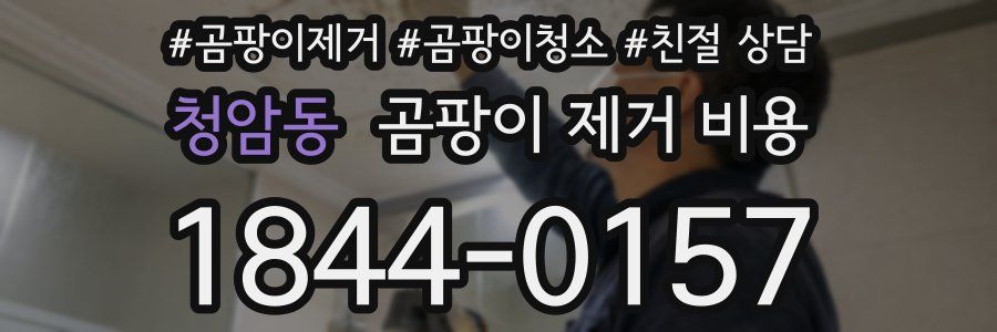 청암동 곰팡이 제거 비용