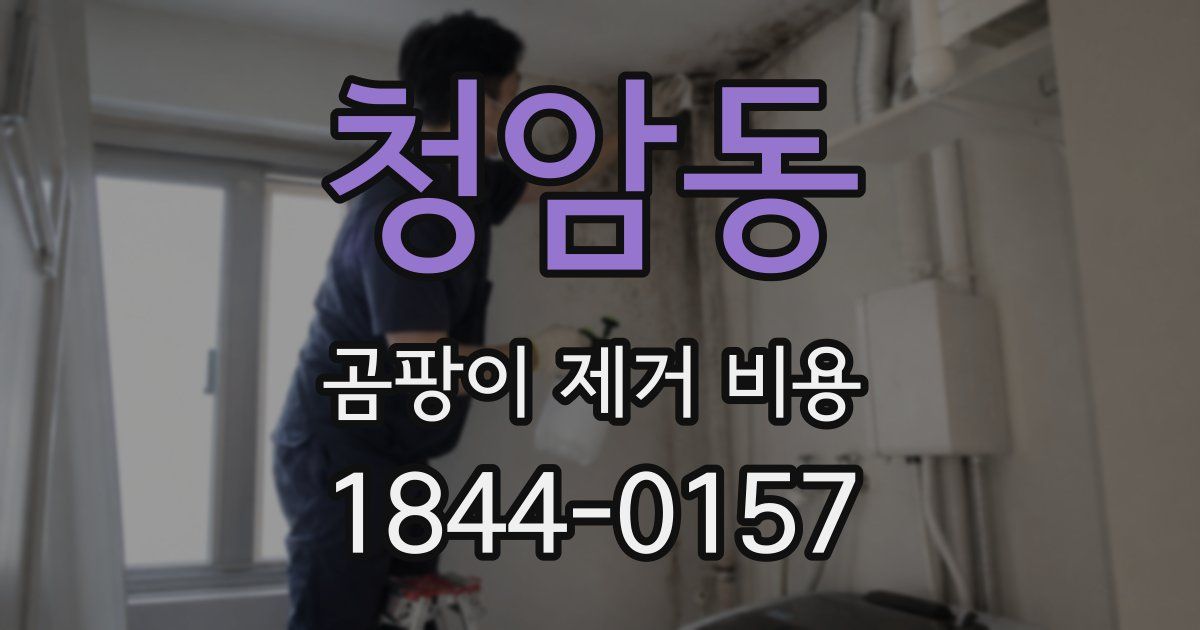 청암동 곰팡이 제거 비용