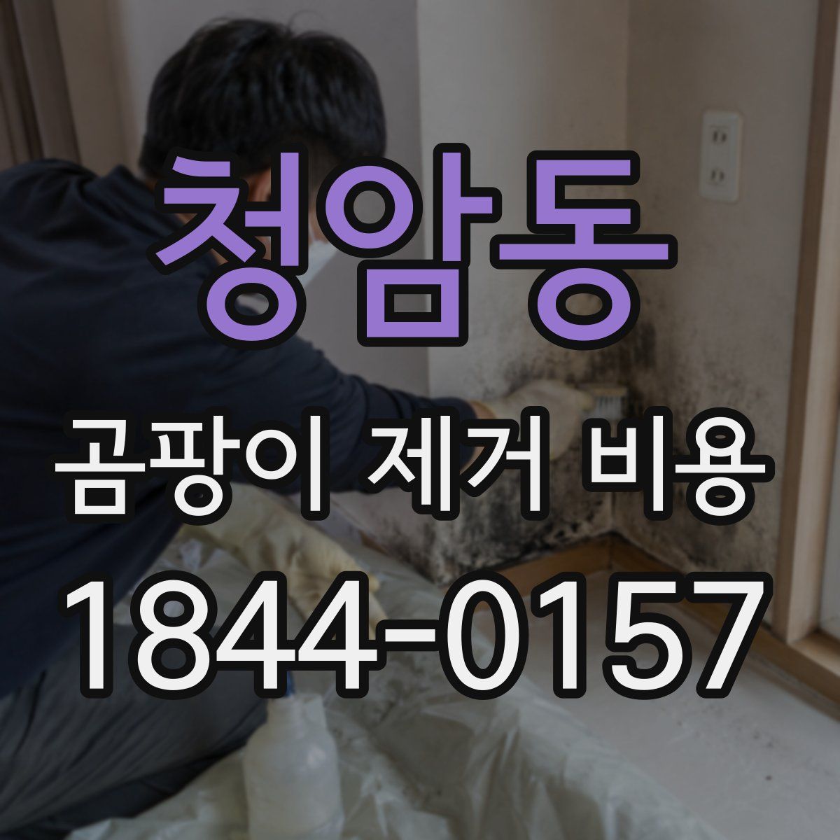 청암동 곰팡이 제거 비용
