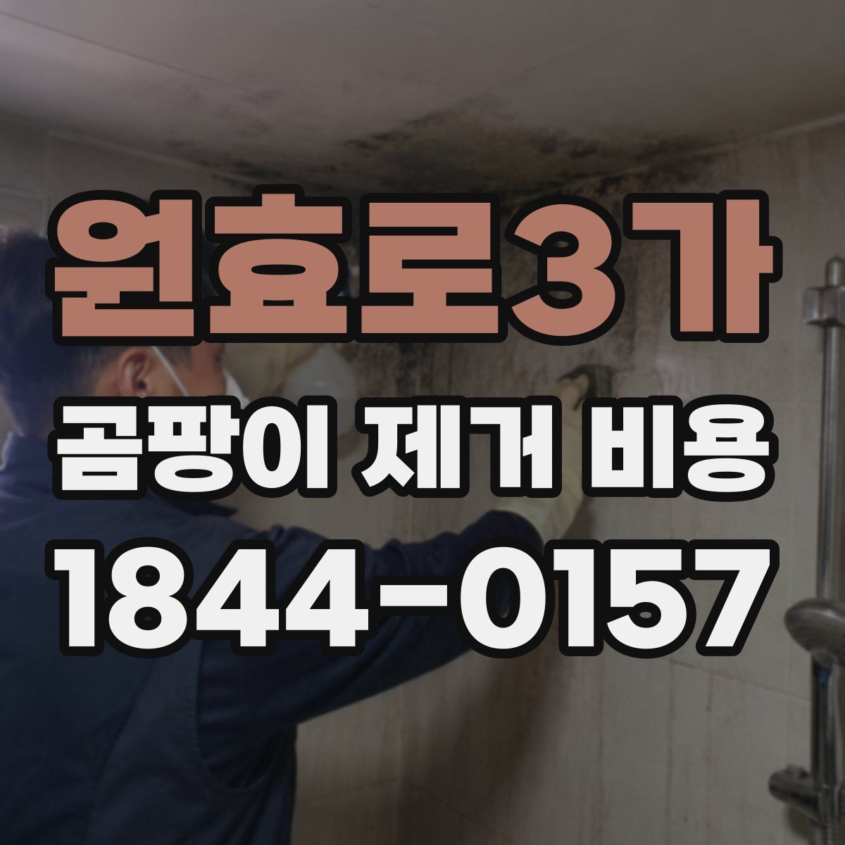 원효로3가 곰팡이 제거 비용