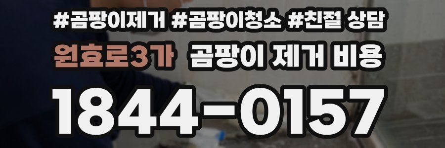 원효로3가 곰팡이 제거 비용