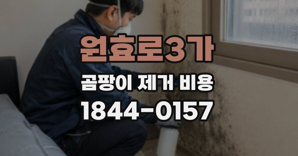 원효로3가 곰팡이 제거 비용