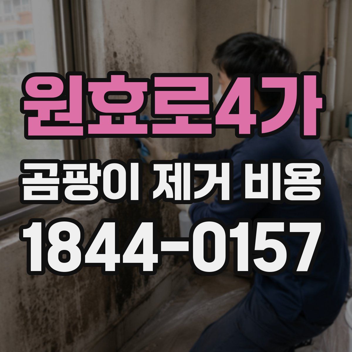 원효로4가 곰팡이 제거 비용